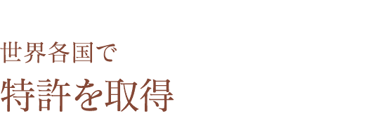 足骨筋（チョッコルグン）